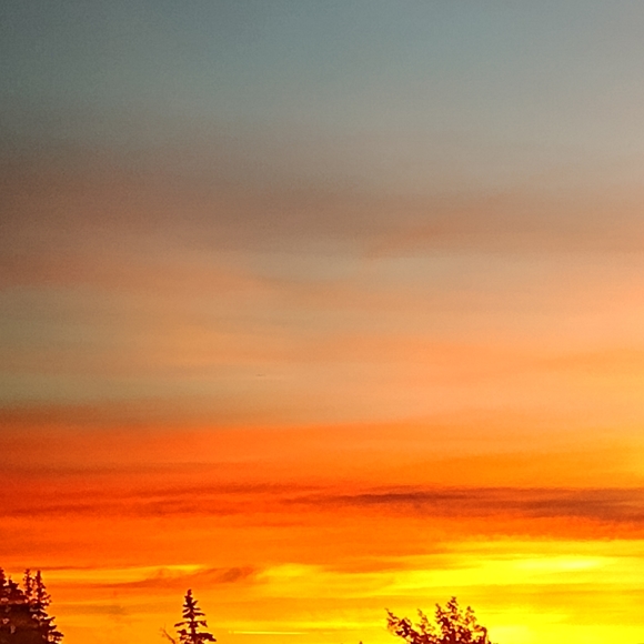 Meet your Posher, Katie-lynn - Picture 6 of 7